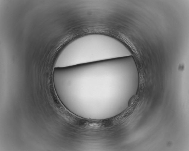 X0000096490163200801241219