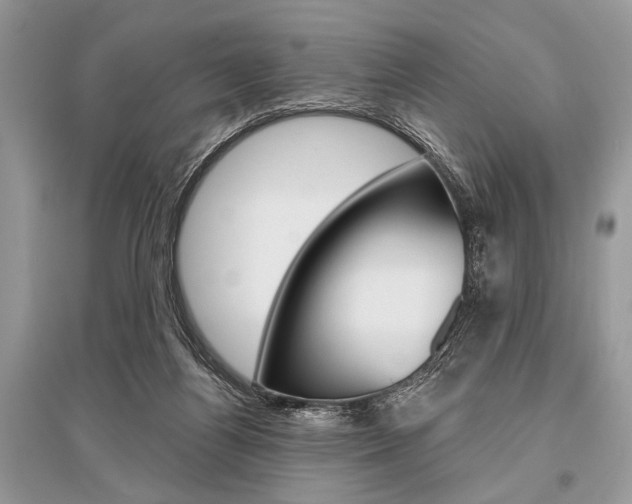 X0000096490164200801241219