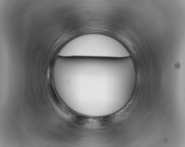 X0000096490166200801241219