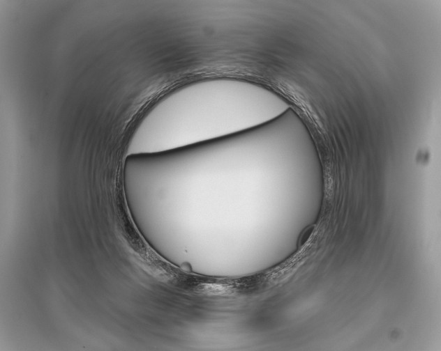 X0000096490167200801241219