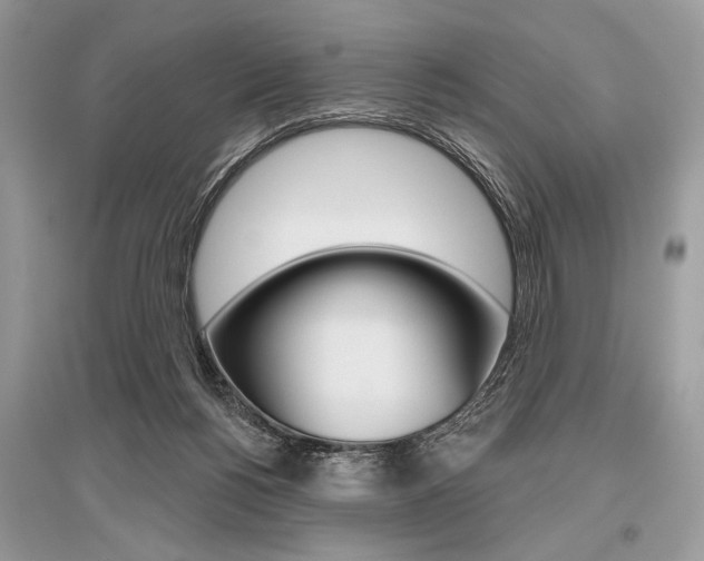 X0000096490168200801241219