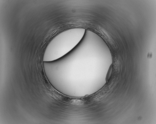 X0000096490169200801241219