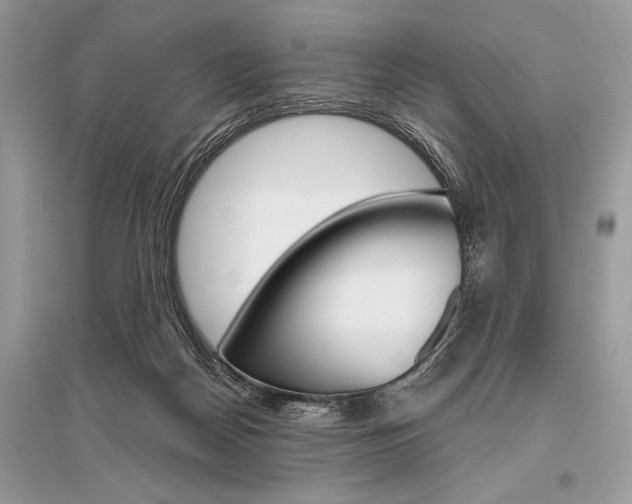 X0000096490170200801241219
