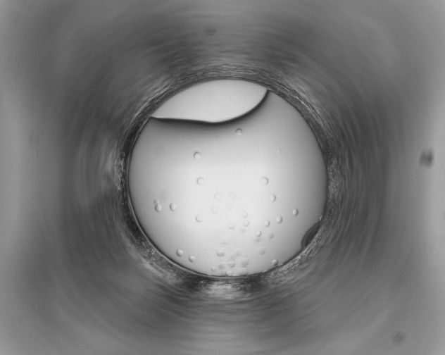 X0000096490171200801241219