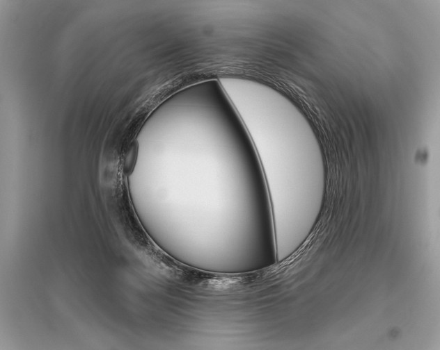 X0000096490172200801241219