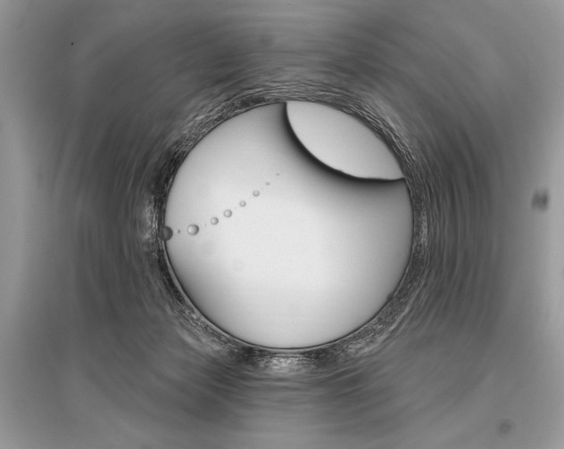 X0000096490173200801241219