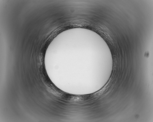 X0000096490174200801241219
