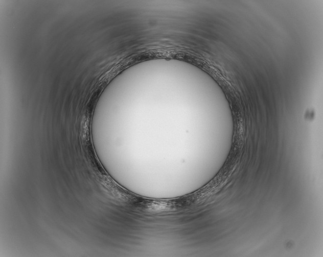 X0000096490177200801241219