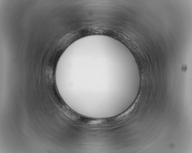X0000096490178200801241219
