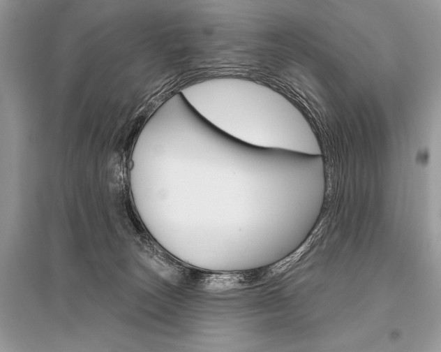 X0000096490179200801241219