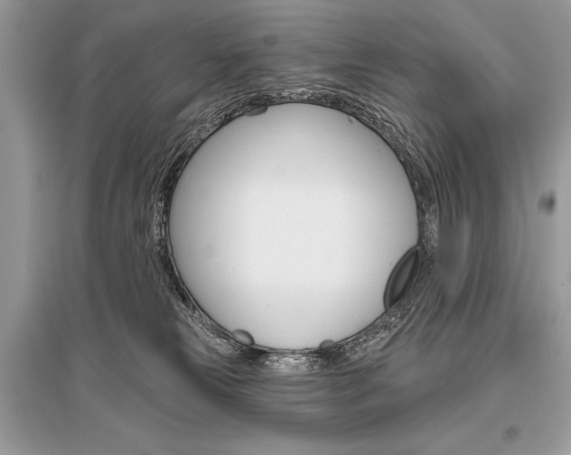 X0000096490181200801241219