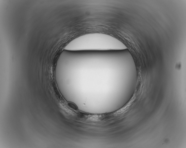X0000096490182200801241219