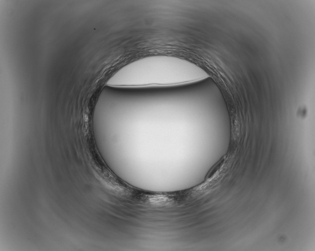 X0000096490183200801241219