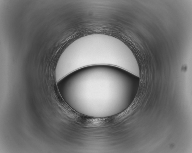 X0000096490184200801241219