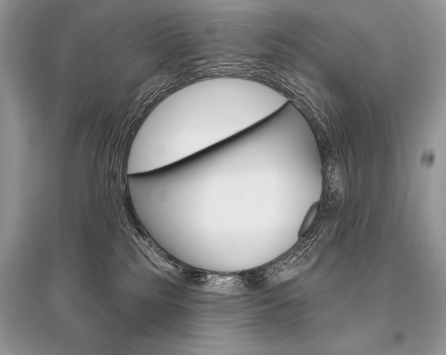 X0000096490185200801241219