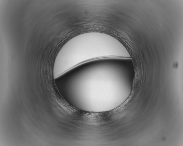 X0000096490186200801241219