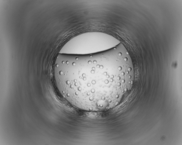 X0000096490187200801241219