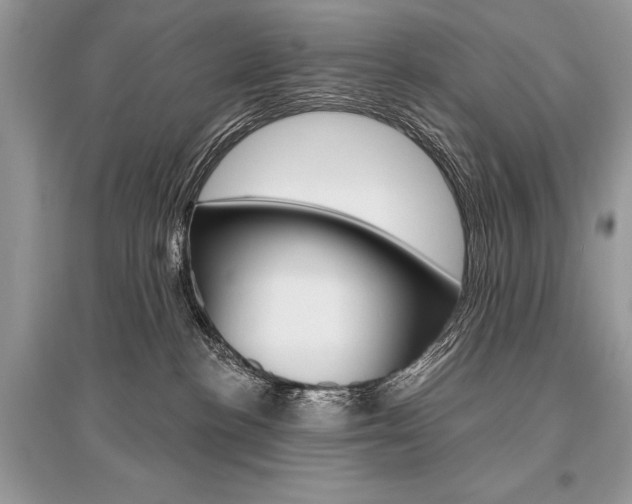 X0000096490188200801241219