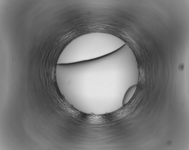 X0000096490189200801241219
