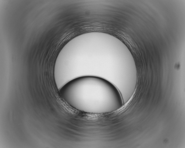 X0000096490190200801241219