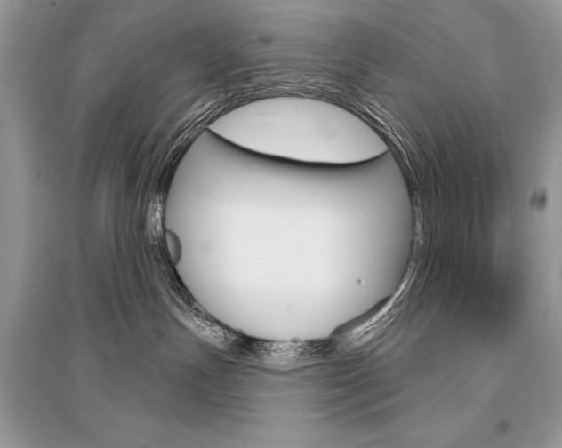 X0000096490191200801241219