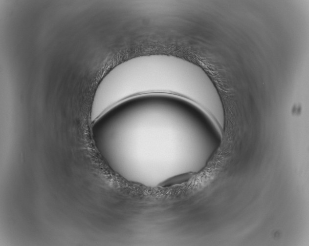 X0000096490192200801241219