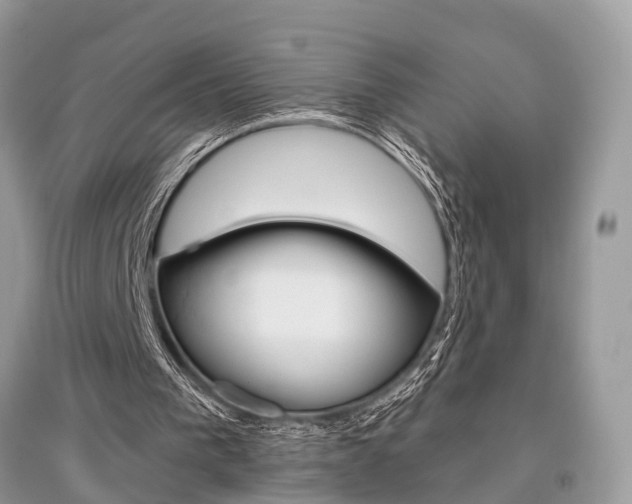 X0000096490193200801241218