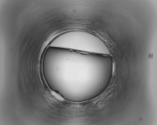 X0000096490195200801241218