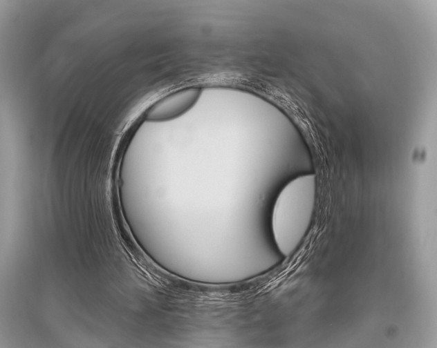 X0000096490196200801241218