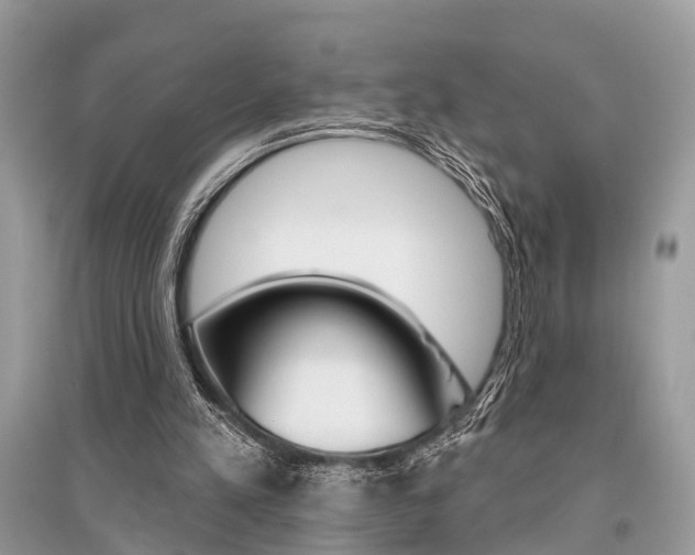 X0000096490197200801241218