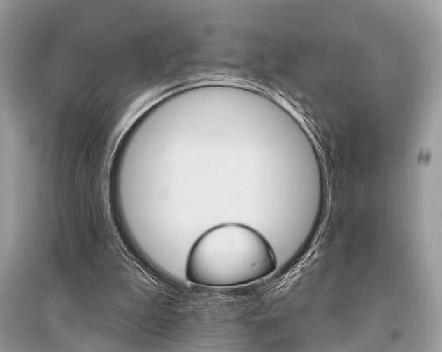 X0000096490199200801241218