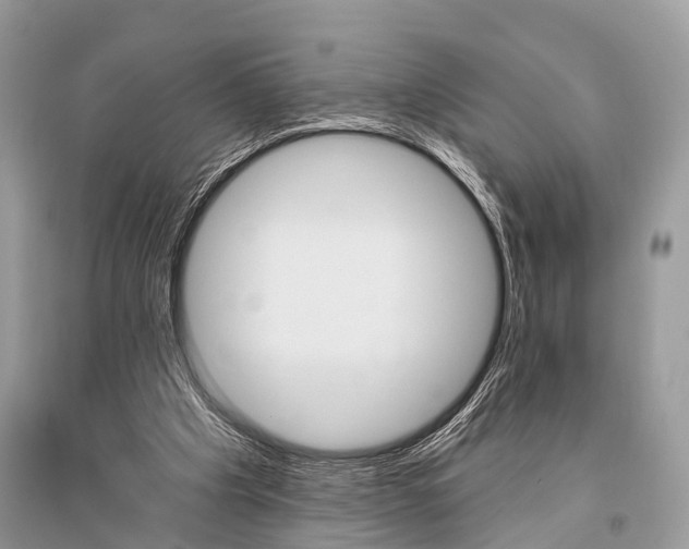 X0000096490201200801241218