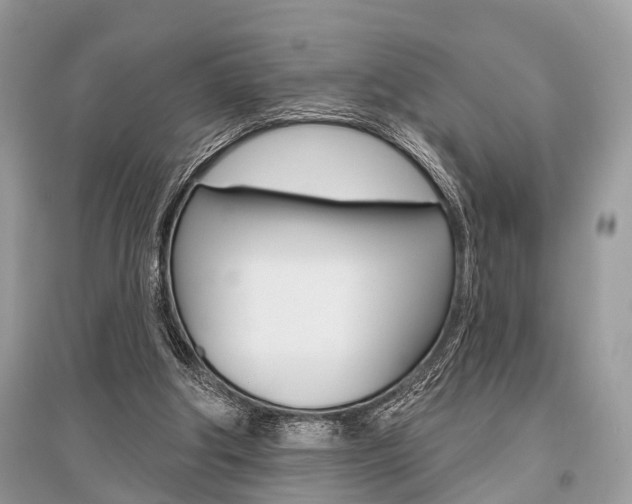 X0000096490202200801241218