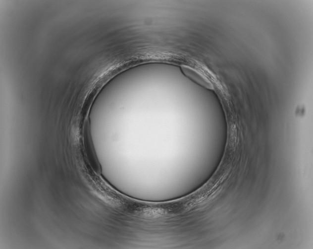 X0000096490203200801241218