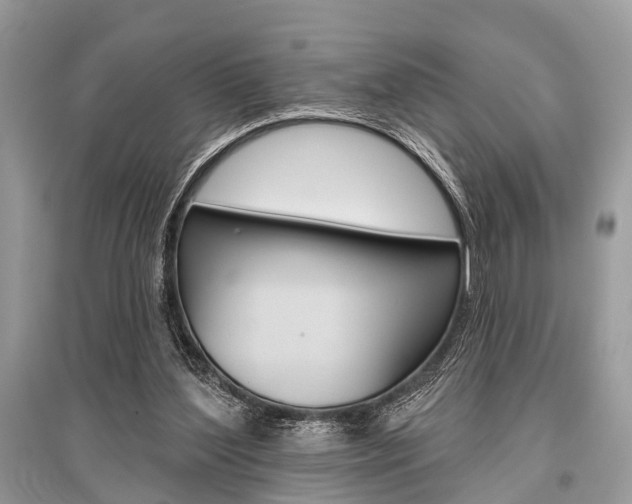 X0000096490204200801241218