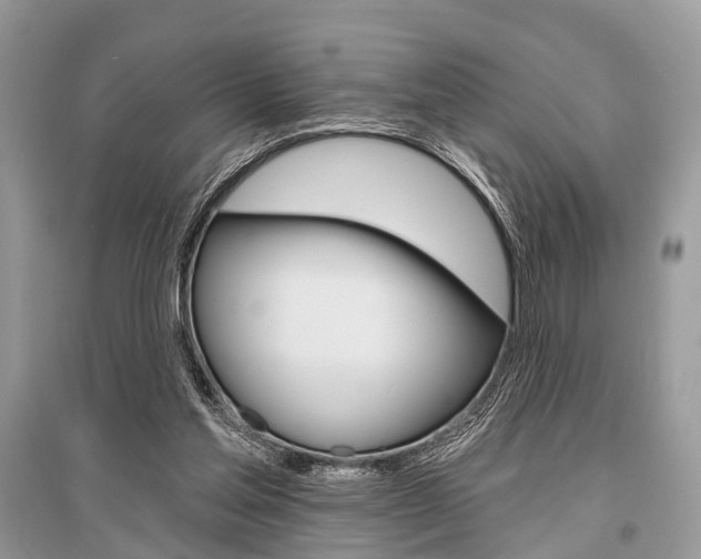 X0000096490205200801241218