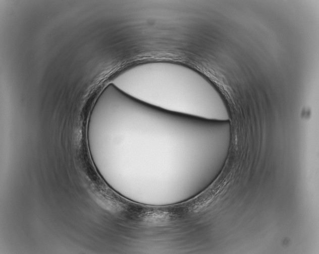 X0000096490206200801241218
