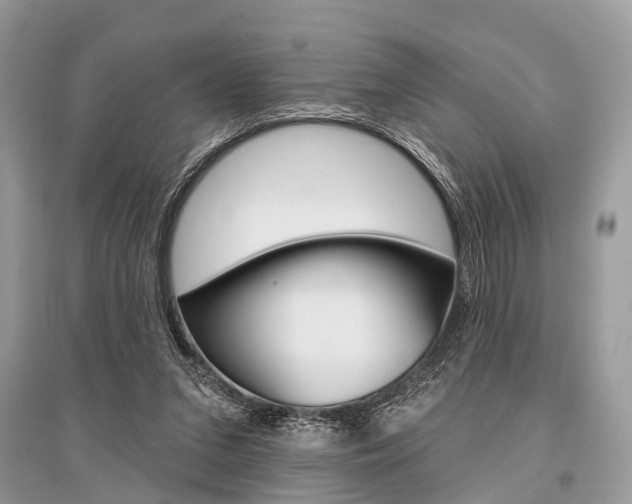 X0000096490207200801241218