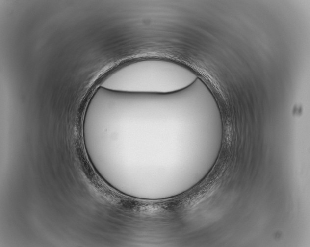 X0000096490208200801241218