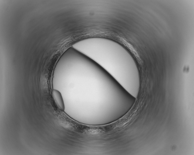 X0000096490209200801241218