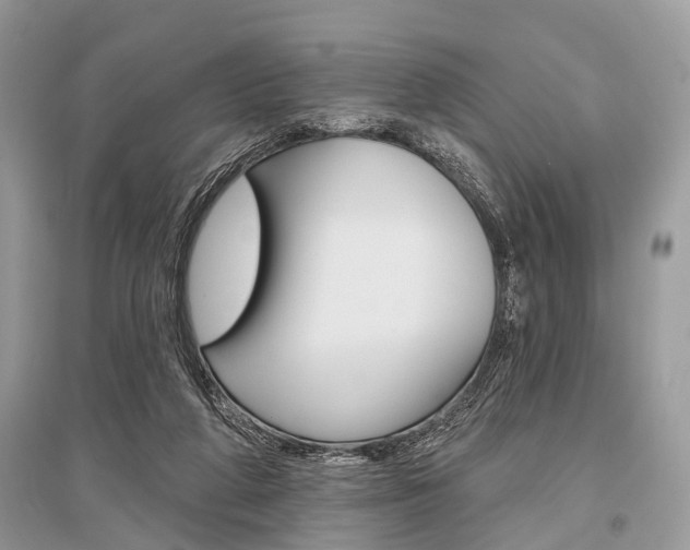 X0000096490210200801241218