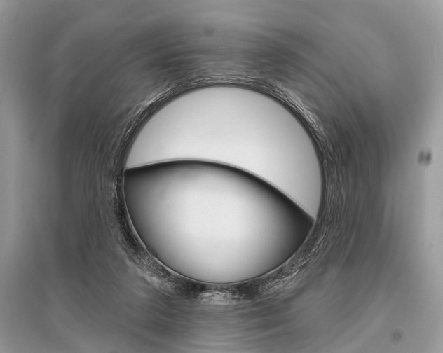 X0000096490211200801241218