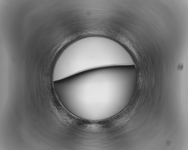 X0000096490212200801241218