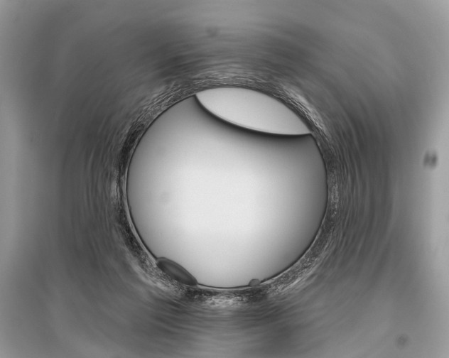 X0000096490213200801241218