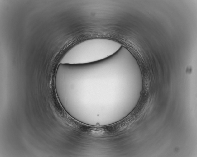 X0000096490214200801241218