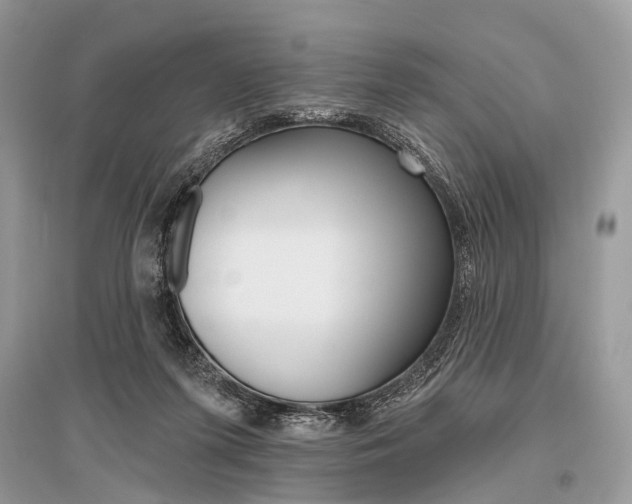 X0000096490215200801241218