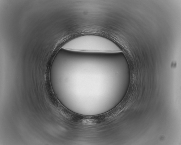 X0000096490216200801241218