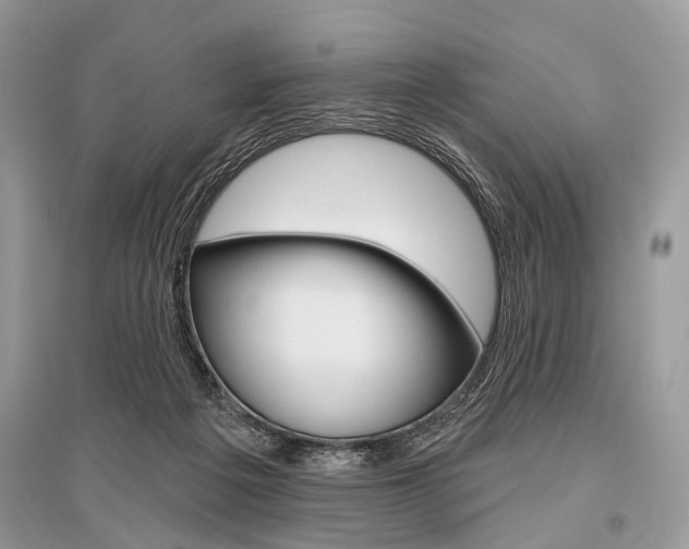 X0000096490217200801241218