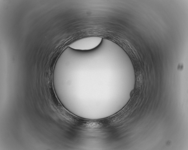X0000096490218200801241218
