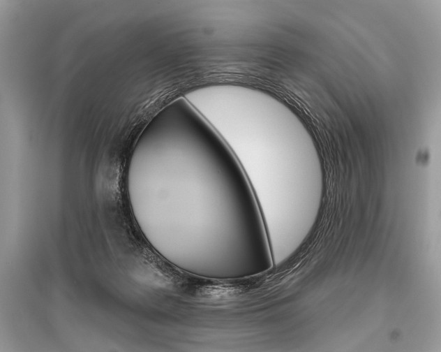 X0000096490219200801241218